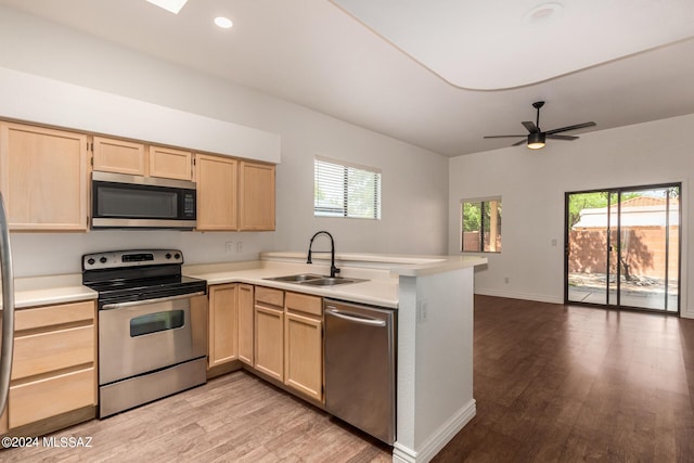 kitchen featuring kitchen peninsula, a wealth of natural light, sink, and stainless steel appliances