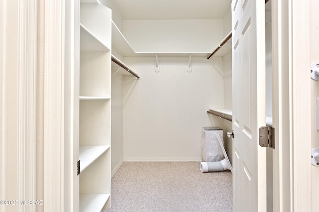 walk in closet featuring light carpet