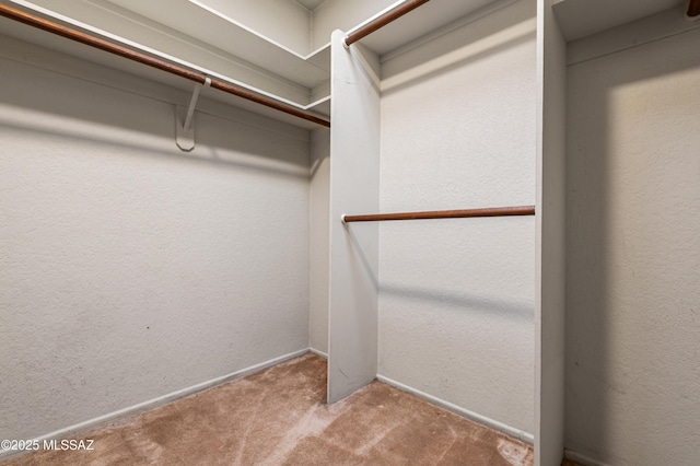 walk in closet featuring light carpet