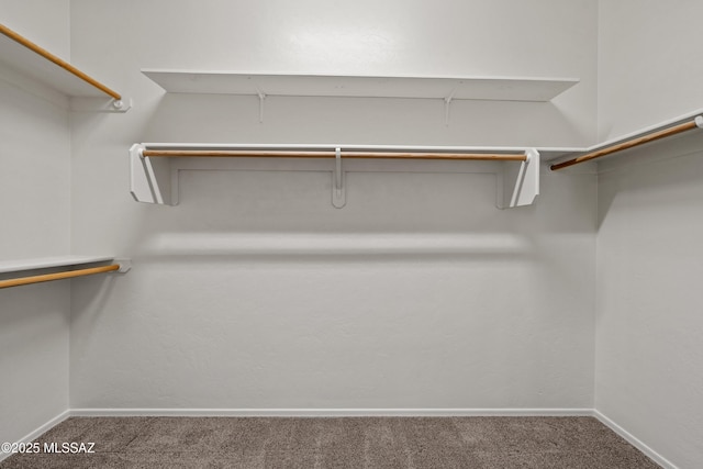 7826 W Sage Creek Ct, Tucson, AZ 85743 - walk in closet featuring carpet