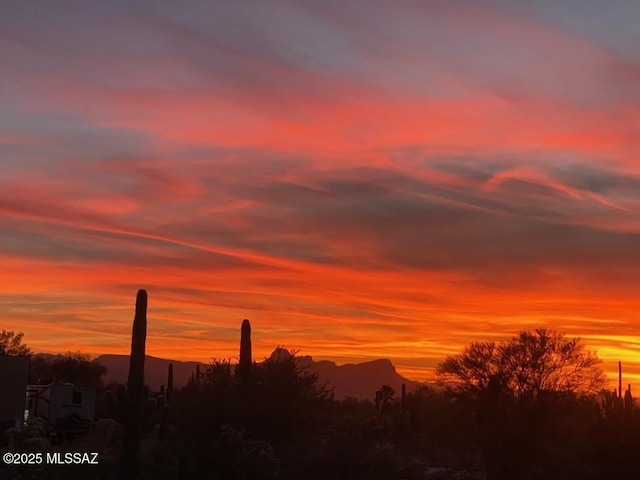 view of nature at dusk