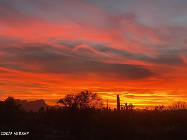 view of nature at dusk