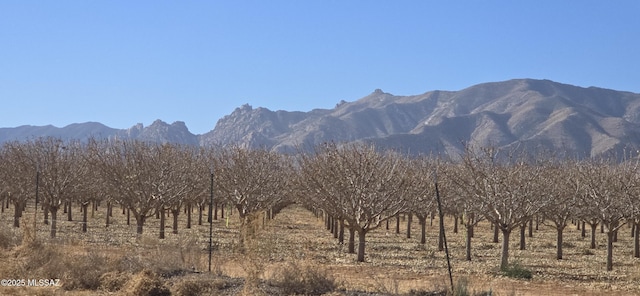 view of mountain feature with a rural view