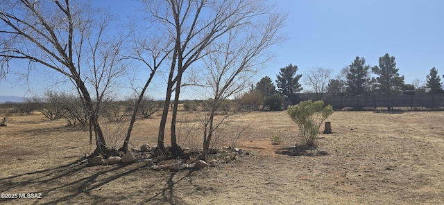 view of yard with a rural view