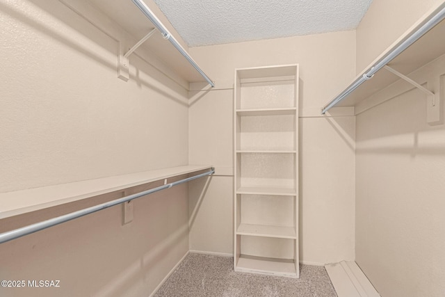 walk in closet with carpet flooring