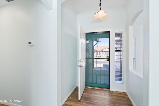 foyer entrance featuring dark hardwood / wood-style floors