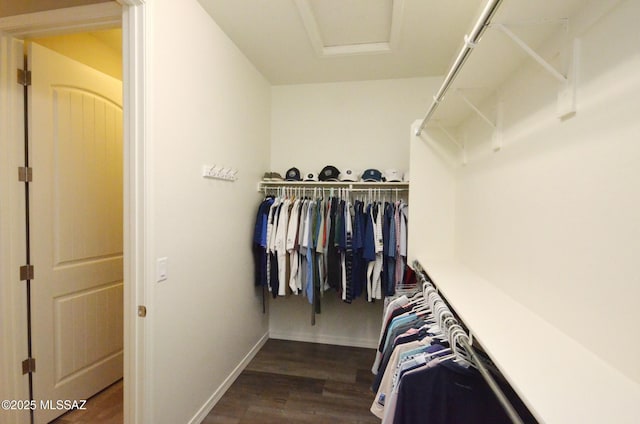 walk in closet with dark wood-type flooring