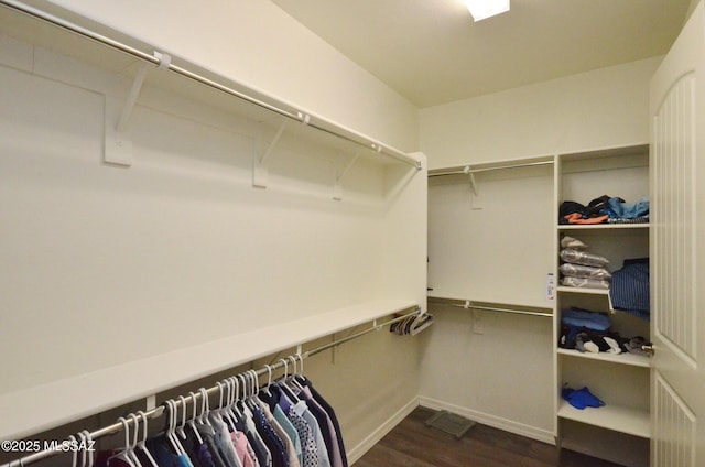 spacious closet featuring dark wood-type flooring