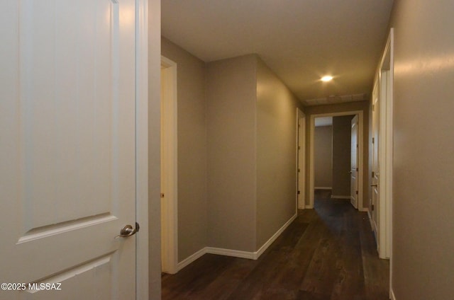 hallway featuring dark wood-type flooring