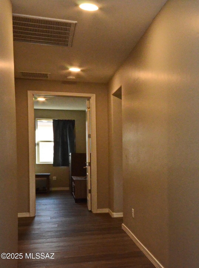 hallway featuring dark hardwood / wood-style flooring