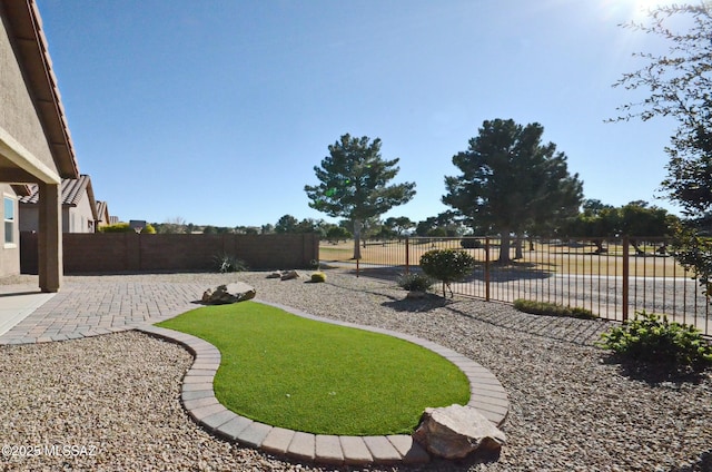 view of yard featuring a patio area