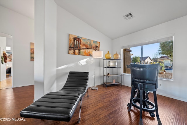 miscellaneous room featuring dark wood-type flooring and lofted ceiling