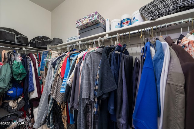 view of spacious closet