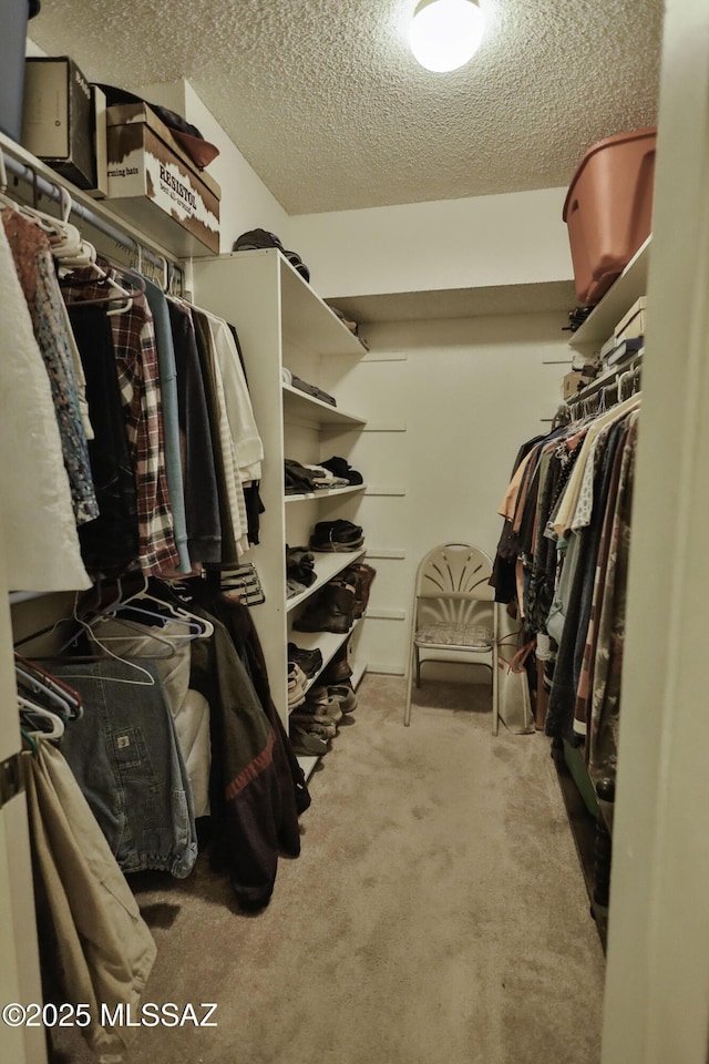 spacious closet featuring carpet