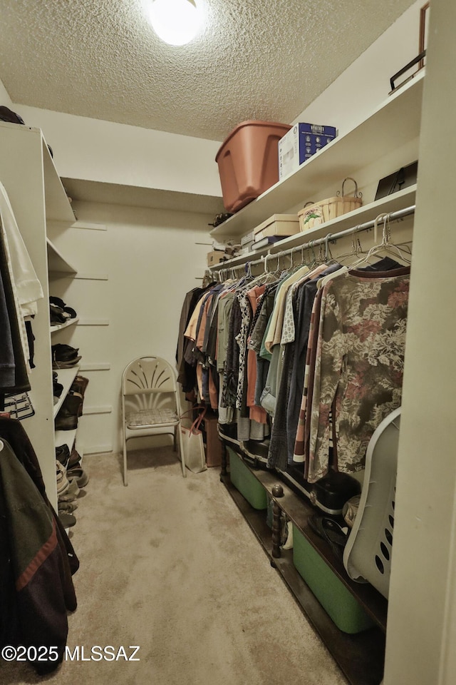 spacious closet featuring light carpet