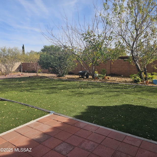 view of yard featuring a patio area