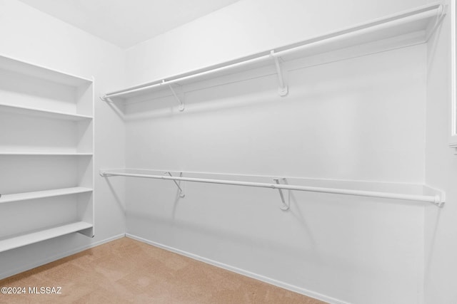 spacious closet with light carpet