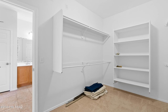 spacious closet featuring light carpet and sink