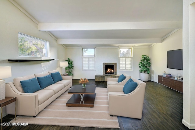 living room featuring wood-type flooring and lofted ceiling with beams