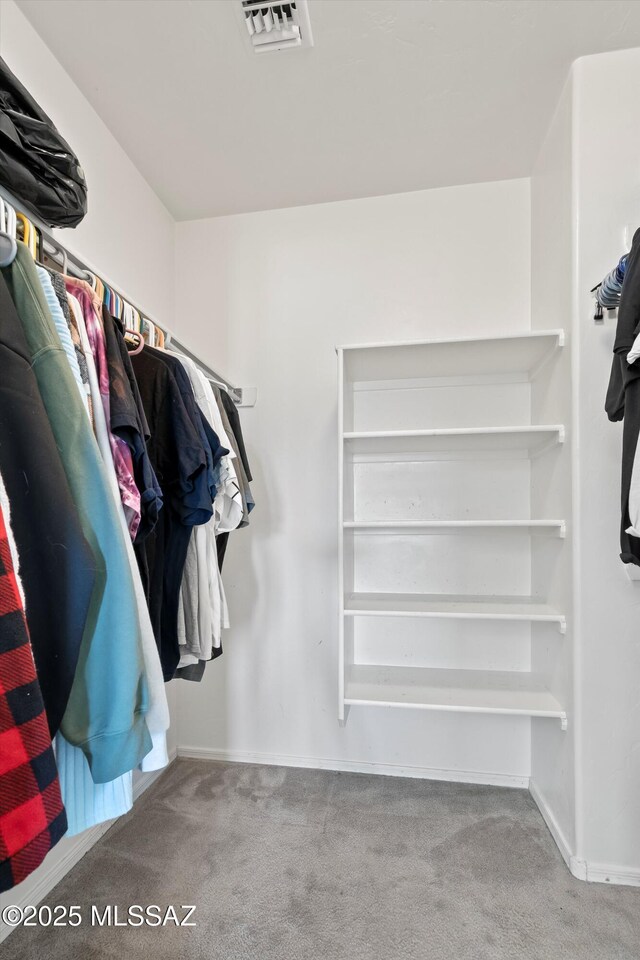 7585 E Majestic Palm Ln, Tucson, AZ 85756 - spacious closet with carpet flooring