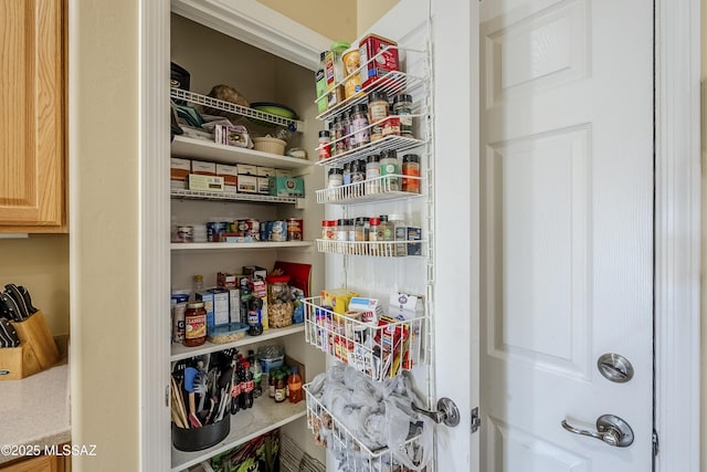 view of pantry