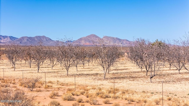 property view of mountains with a rural view