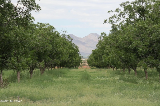 view of nature with a rural view and a mountain view