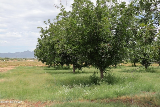 view of local wilderness featuring a rural view and a mountain view