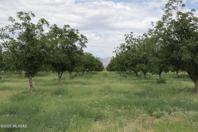 view of nature with a rural view