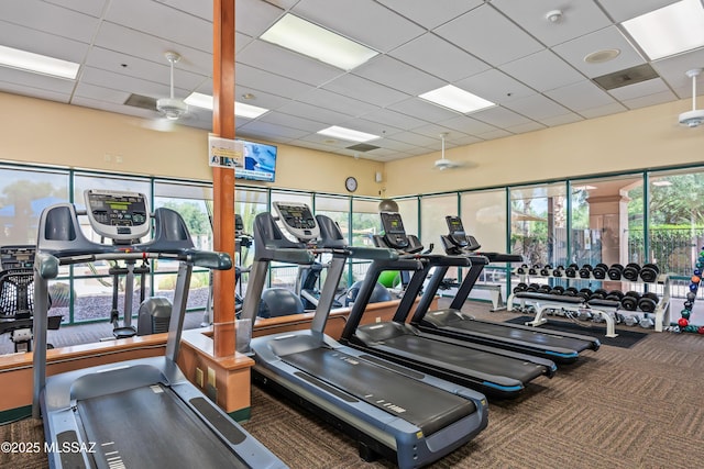 exercise room featuring a paneled ceiling, ceiling fan, and dark colored carpet