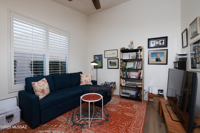 living room with ceiling fan and hardwood / wood-style floors