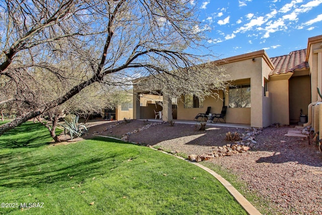 back of house featuring a patio and a lawn