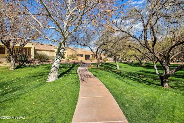 view of community with a lawn