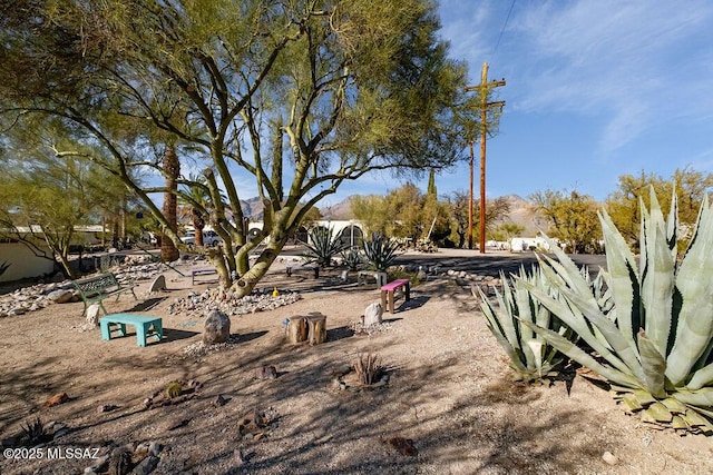 view of yard featuring a mountain view