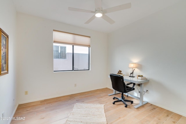 office space featuring light hardwood / wood-style floors and ceiling fan