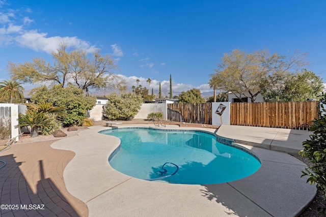 view of pool with a patio