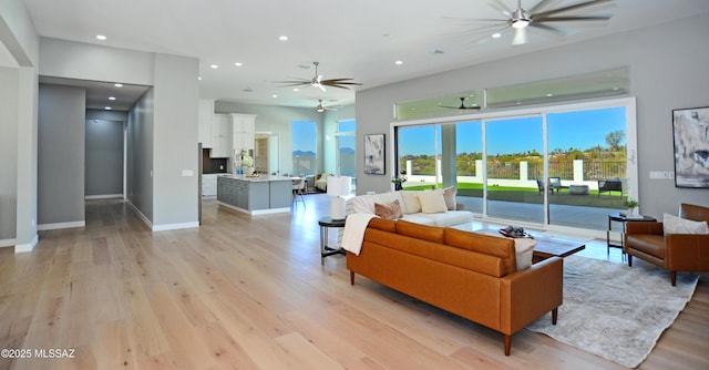 living room with light hardwood / wood-style flooring and plenty of natural light