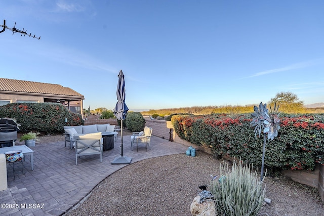 view of yard with a patio area, an outdoor living space, and a fenced backyard