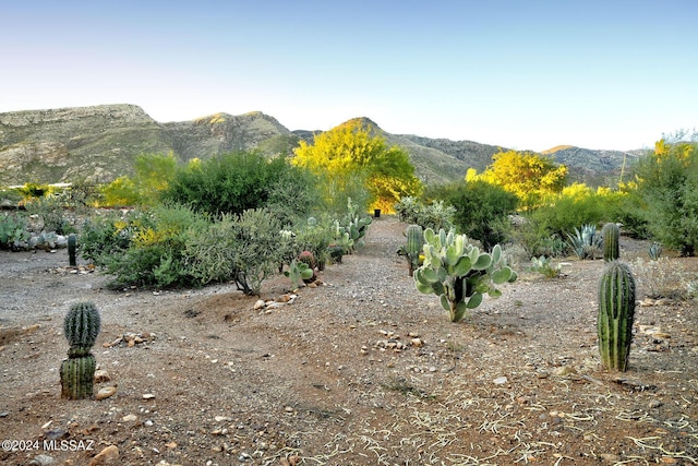 view of landscape with a mountain view