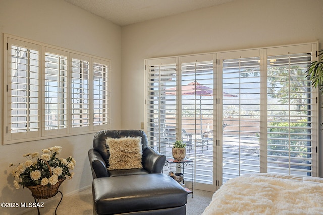 carpeted bedroom with multiple windows