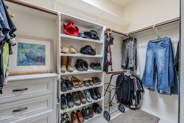 view of walk in closet