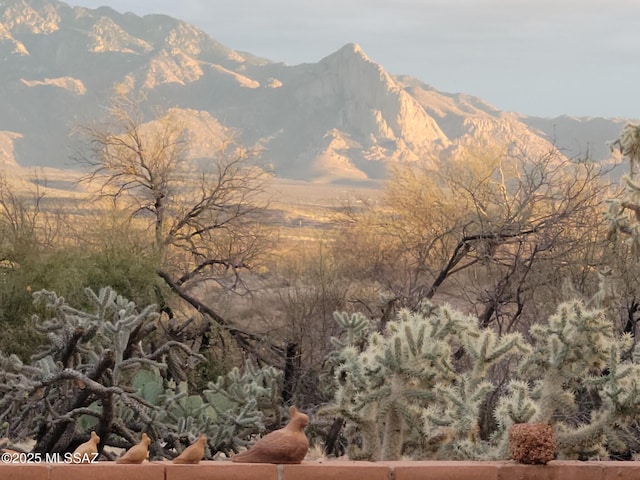 property view of mountains