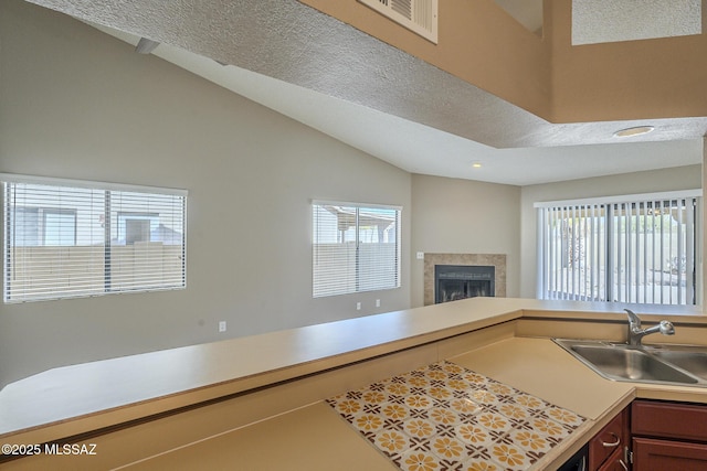 kitchen with lofted ceiling and sink