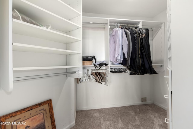 walk in closet with carpet