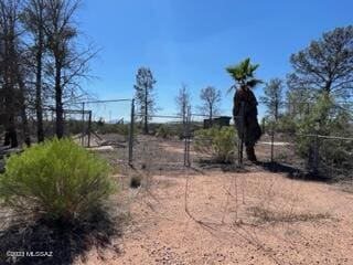 view of local wilderness