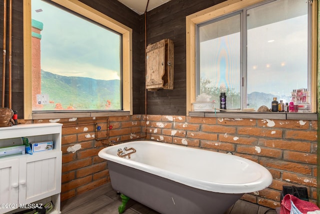 bathroom with a mountain view and a tub