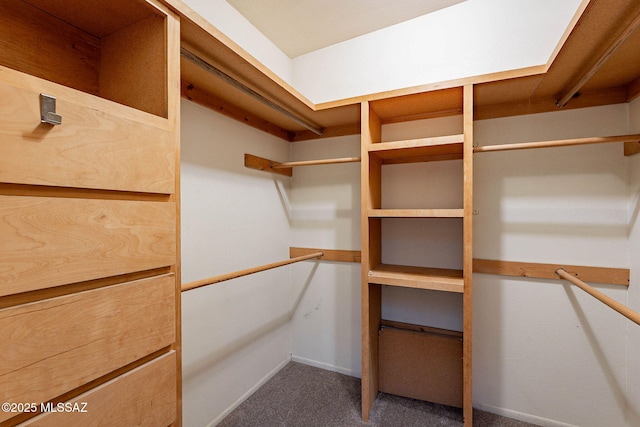 spacious closet featuring carpet floors