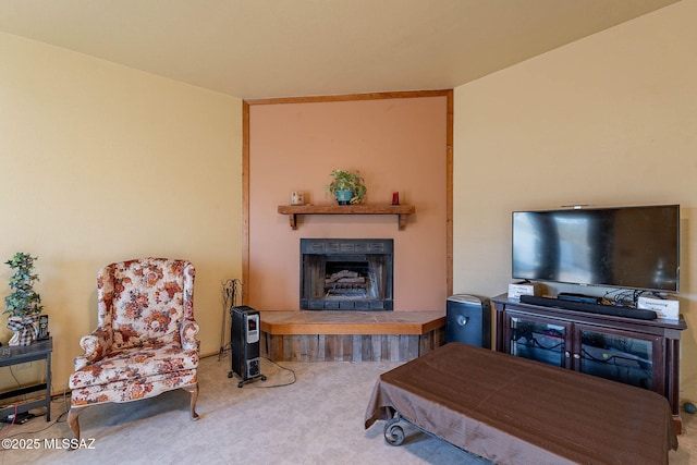 living area featuring a fireplace with raised hearth