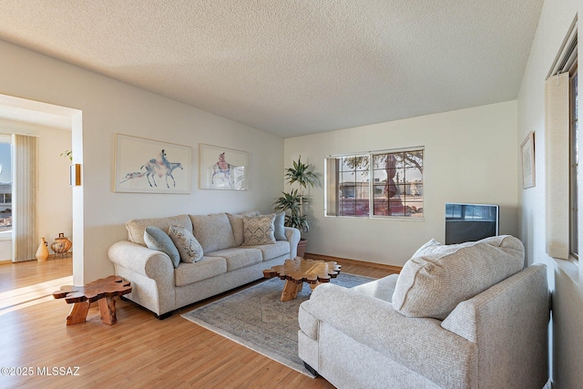 living room with wood-type flooring and a textured ceiling