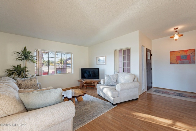 living room featuring hardwood / wood-style floors and a textured ceiling